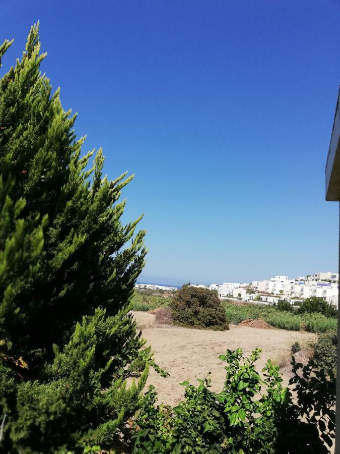 Chriselina Gottage Apartment Paphos Exterior photo